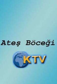 Ateş Böceği